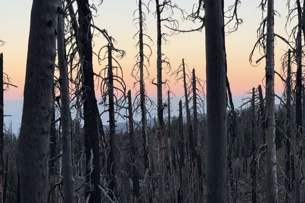 Days 109 – 114: Canada Jays and the Austin Fire