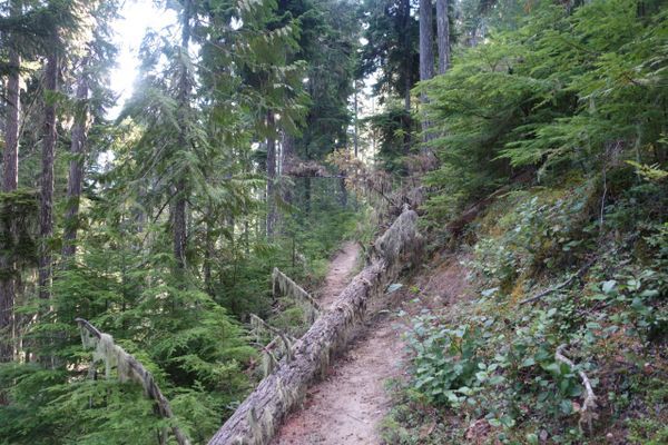 Year 2 Day 6 – Sa8-01 Trail Work & S Fork Agnes Creek