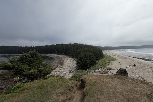 The Lake Ozette Triangle, The Beach Walk