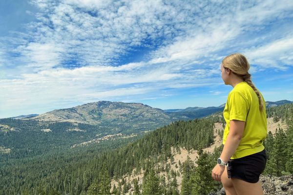 Sierra City to Donner Pass: The End of My Big PCT Year