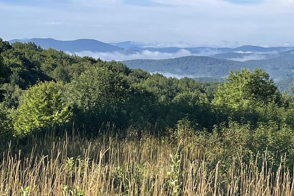 Getting Better Trail Legs in New England
