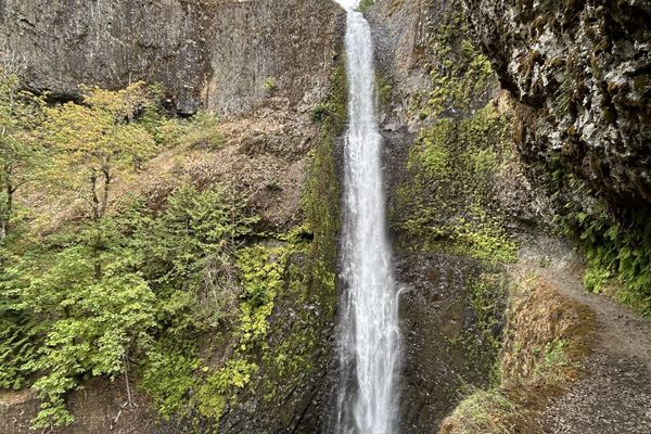 Oregon Odyssey