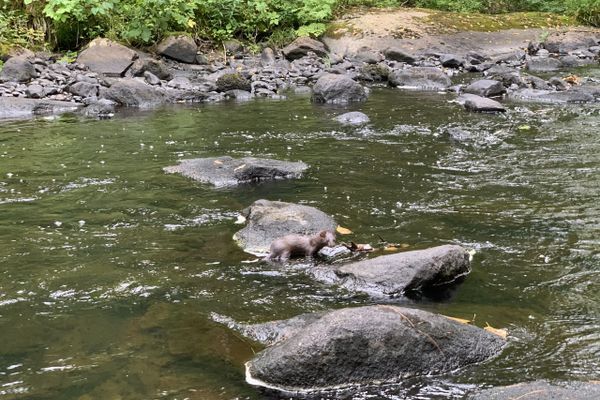 The Trail Pauses: Fellowship, Home, and an Unexpected Encounter