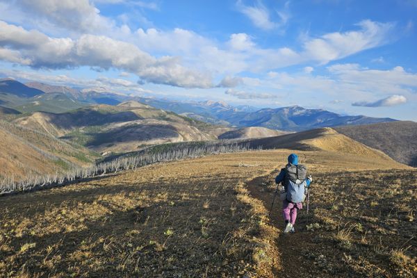 Lincoln to Augusta-Surviving the Scapegoat Wilderness