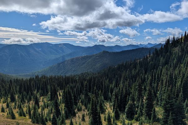 Trail Update #7: Southern Washington