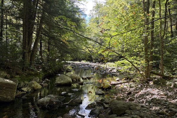 Northville-Placid Trail – Day 2 – Woods Lake to Canary Pond (Sept ’26, Nobo)