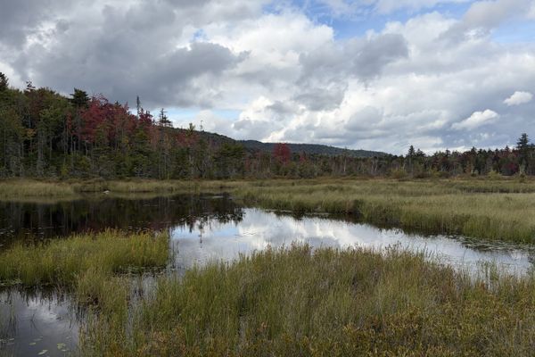Northville-Placid Trail – Day 4 – Piseco Inn to West Lake #1 (Sept ’26, Nobo)