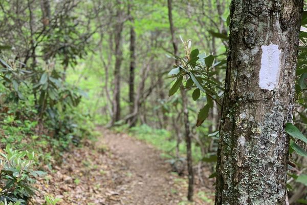 The 2026 Appalachian Trail Thru-Hiker Survey Is Here!