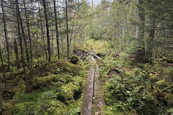 Northville-Placid Trail – Day 9 – Finished! – Moose Pond to Lake Placid (Sept ’26, Nobo)
