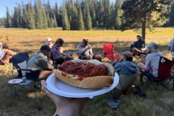 Meatball Subs