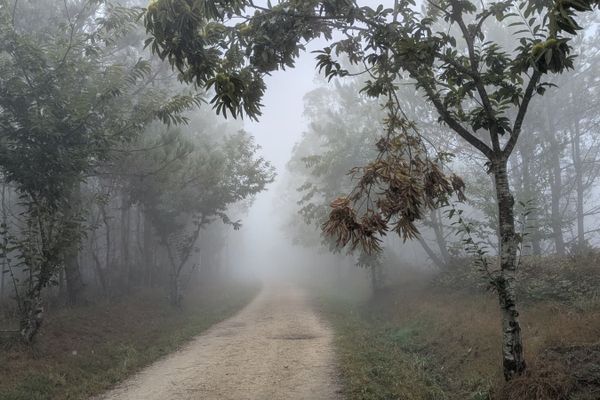 Day -2 Camino Shakedown Hike: The Way is Inside