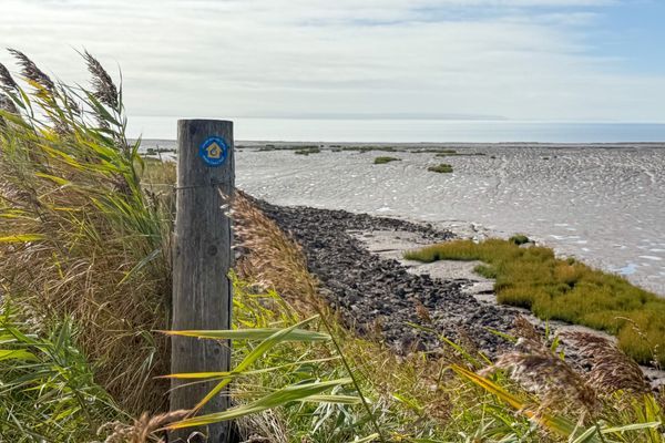 DAY 71 – Wales Coast Path > Perfect Penultimate Day … Except for the Pain