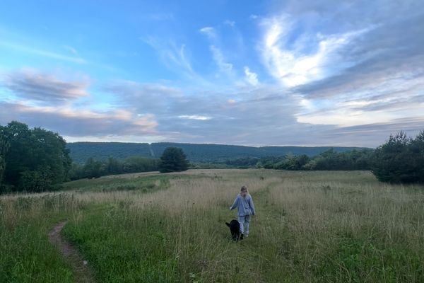 Layer 2 of 4: What Came Before the Camino