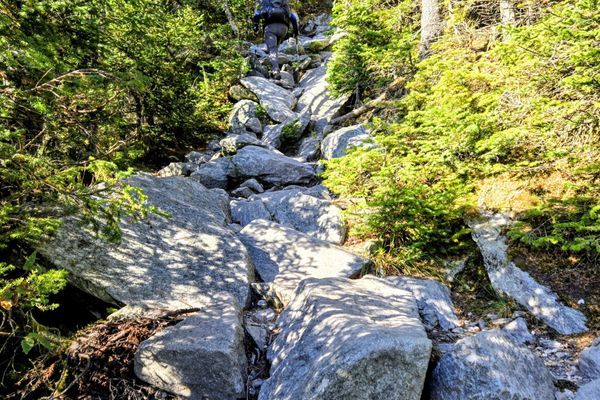 Day 23: “You Must Be Thru Hikers, You Stink”