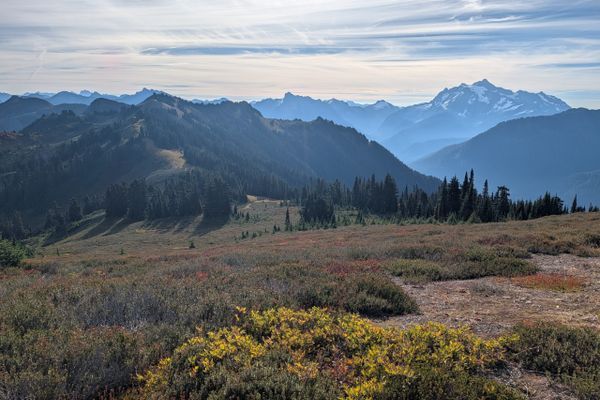Trail Update #8: Hiking to the Border Twice