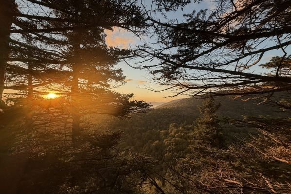 Day 29: Over the Camels Hump and Down in the Dump