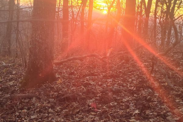 420 In My Head: Day 2 on the Appalachian Trail
