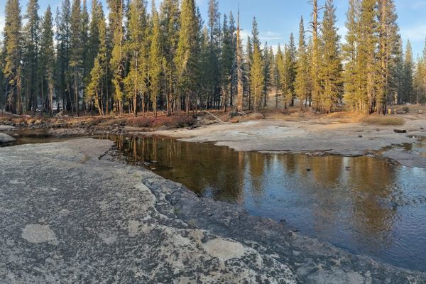 From The PNW To Tuolumne Meadows