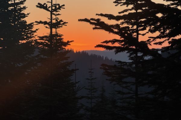 Days 127-131: The Penultimate Stretch, White Pass to Snoqualmie