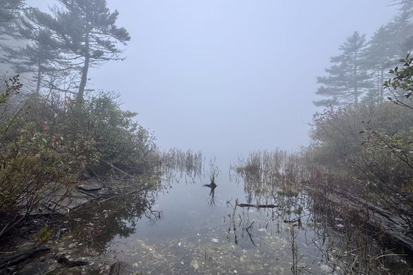 A Muddy And Misty March