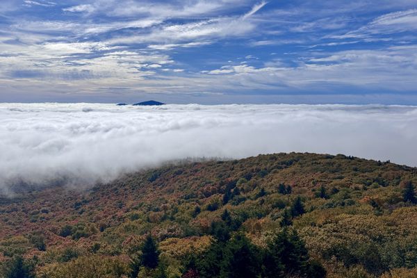 Bromley Peak Magic