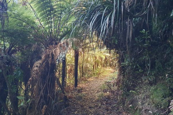 Te Araroa blog: How I’ve been preparing to walk 3000km