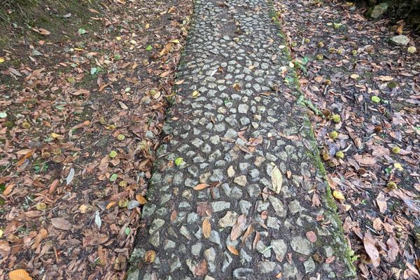 Camino Primitivo day 1