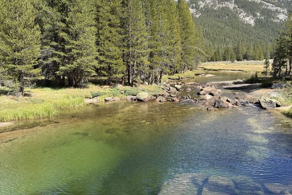 JMT: High Sierra Camp to Tuolumne Meadows to Lyell Fork
