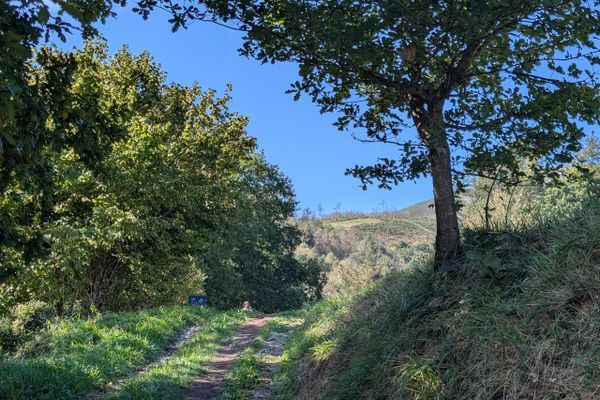 Camino Primitivo Day 4