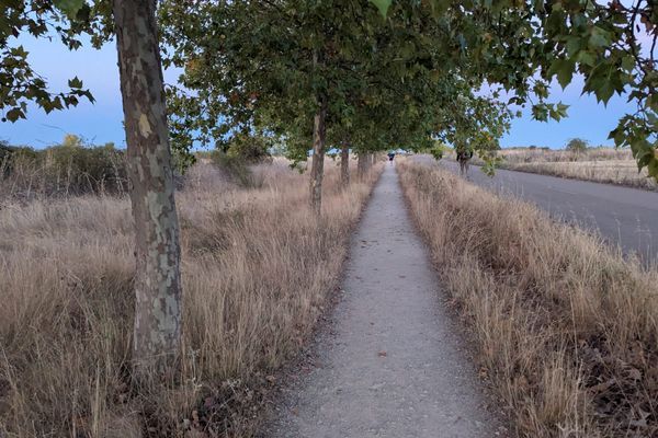 Camino Day 7: Volunteers Profile at a Donativo