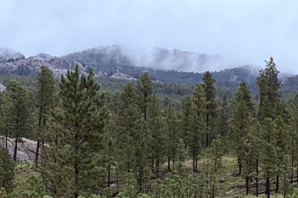 Centennial Trail