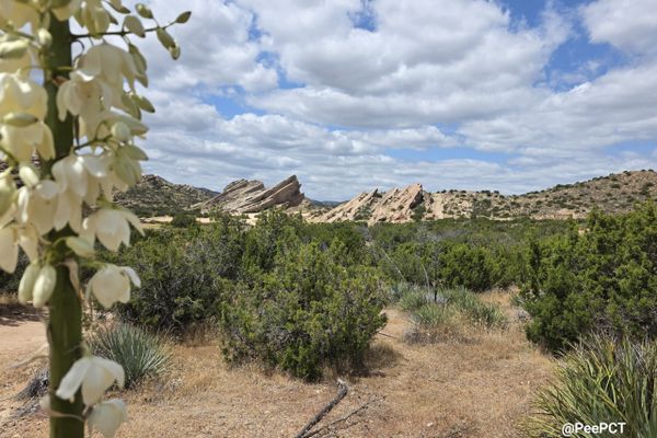 500+ Miles on the Pacific Crest Trail