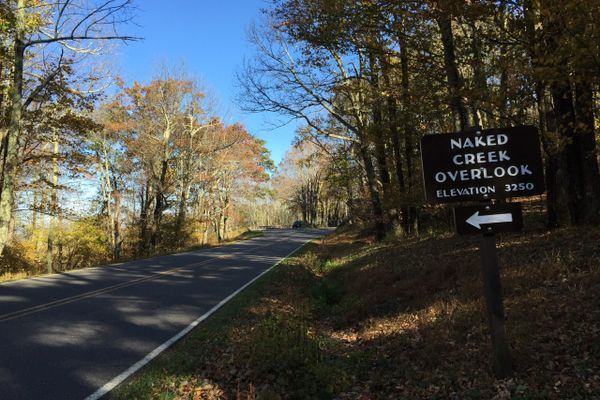 Human Remains Discovered in Shenandoah National Park Backcountry