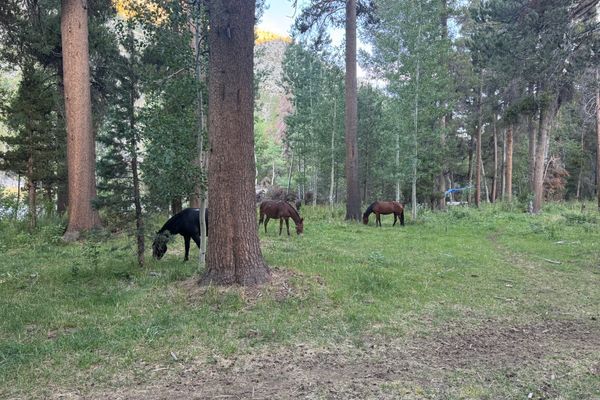 JMT Day 9 – Muir Trail Ranch