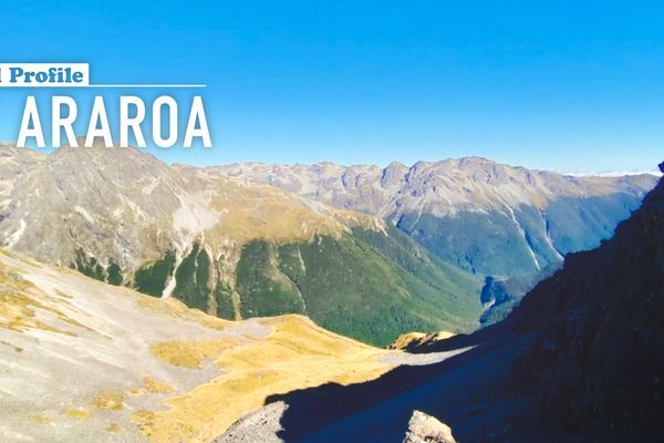 Trail Profile: Te Araroa, Your Guide to the Best Way of Experiencing New Zealand